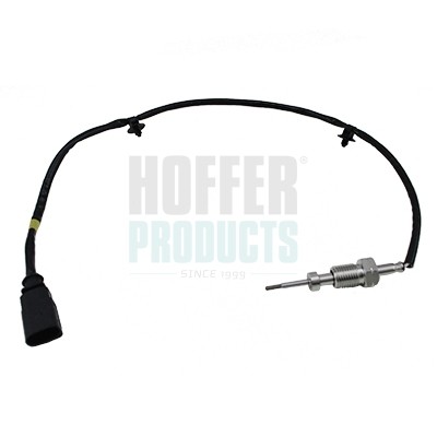 Hoffer sensore temperatura - temperatura, gas