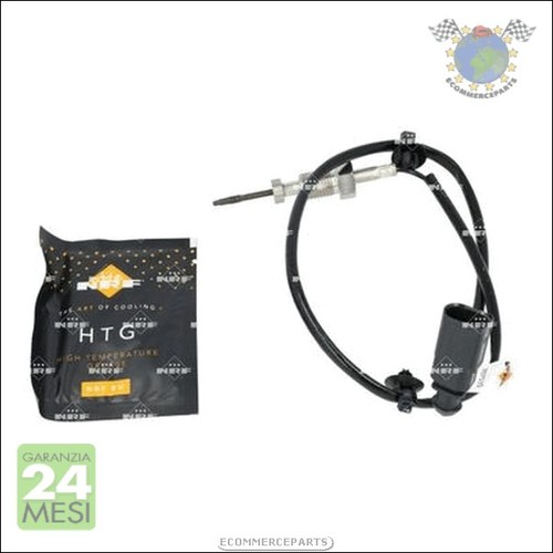 Sensore temperatura gas